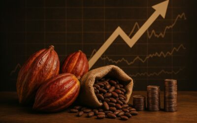 Mastering the Cocoa Conundrum